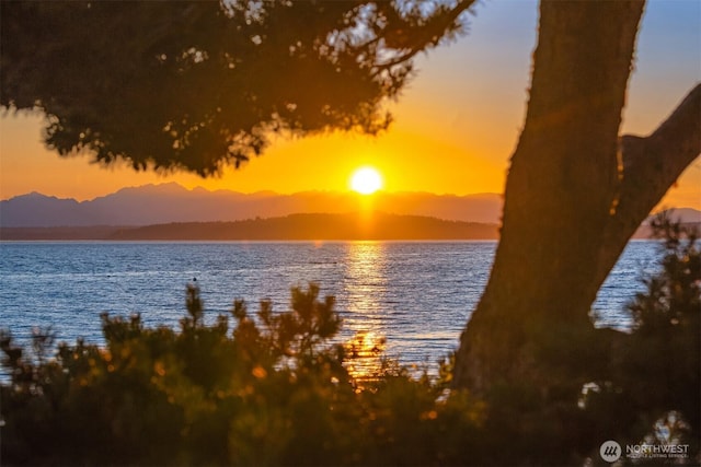 7117 Beach Dr SW, Seattle, WA 98136 - water view