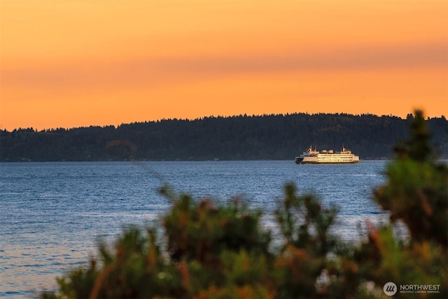 7117 Beach Dr SW, Seattle, WA 98136 - water view with a forest