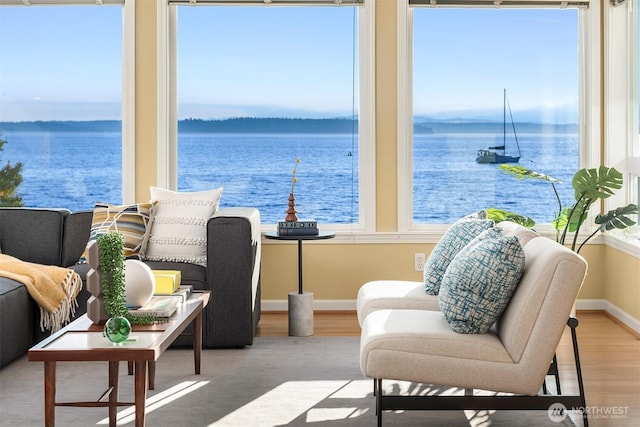 7117 Beach Dr SW, Seattle, WA 98136 - water view