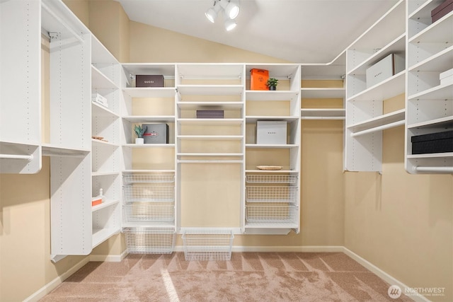 7117 Beach Dr SW, Seattle, WA 98136 - spacious closet with carpet and vaulted ceiling