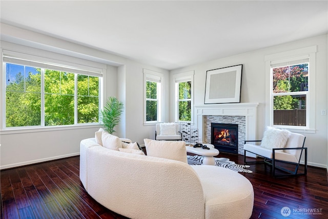 4529 185th Pl SE, Bothell, WA 98012 - living area with a fireplace and dark wood-style flooring