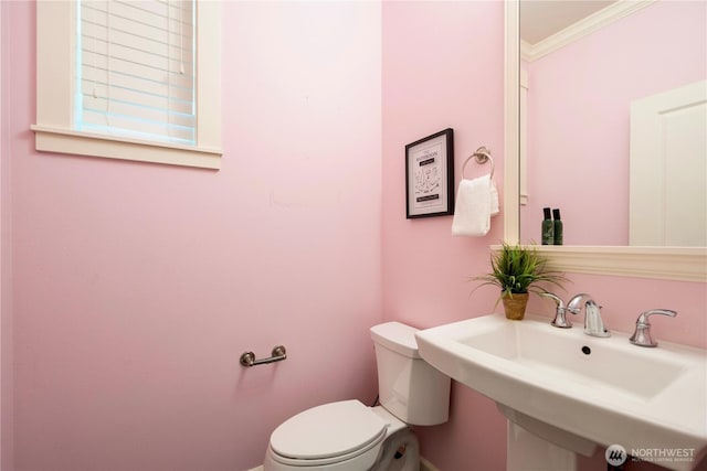 4529 185th Pl SE, Bothell, WA 98012 - half bathroom featuring ornamental molding and toilet