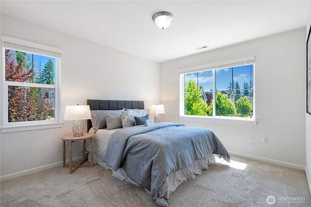 4529 185th Pl SE, Bothell, WA 98012 - bedroom with multiple windows and carpet flooring