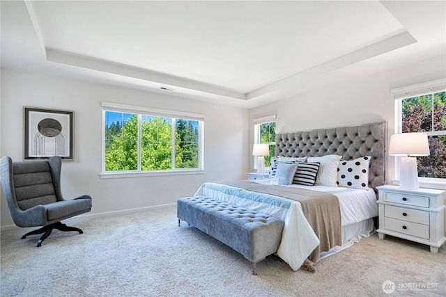 4529 185th Pl SE, Bothell, WA 98012 - bedroom with a raised ceiling and light colored carpet