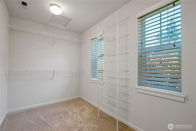 4529 185th Pl SE, Bothell, WA 98012 - walk in closet with attic access and carpet floors