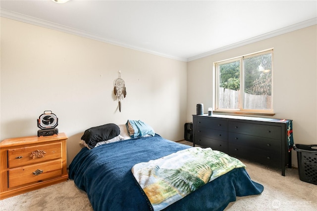 438 Washington Blvd Unit 3, Algona, WA 98001 - bedroom featuring ornamental molding and light carpet