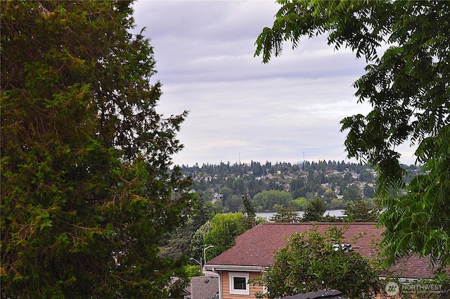 6208 Fremont Ave N, Seattle, WA 98103 - mountain view