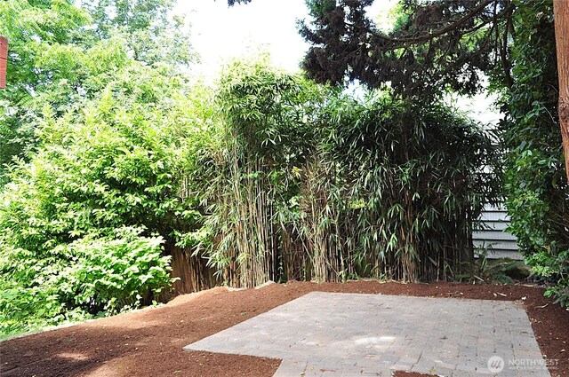 6208 Fremont Ave N, Seattle, WA 98103 - view of patio