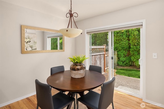 17515 110th Ln SE Unit 27, Renton, WA 98055 - dining room featuring light wood-style flooring and plenty of natural light