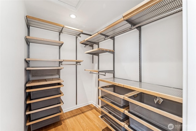 2626 W Lynn St, Seattle, WA 98199 - walk in closet with light wood finished floors