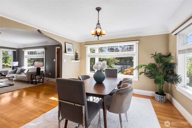 8607 15th Ave NE, Seattle, WA 98115 - photo 8