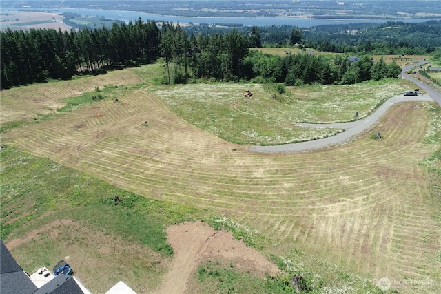 149 Resort Ln, Kalama, WA 98625 - photo 2