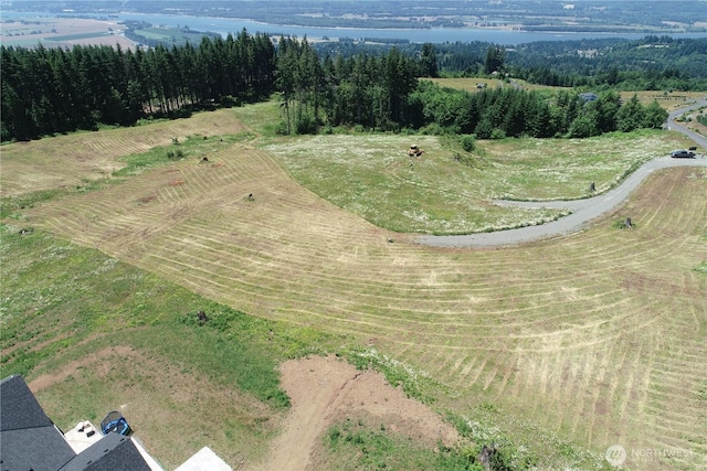 149 Resort Ln, Kalama, WA 98625 - photo 4