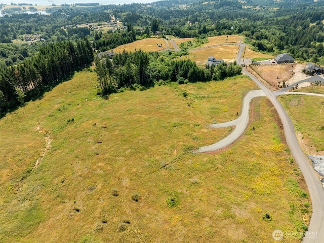 149 Resort Ln, Kalama, WA 98625 - photo 12