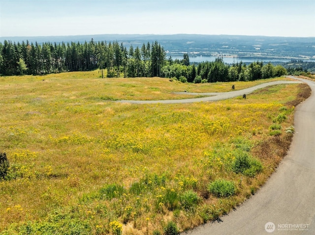 149 Resort Ln, Kalama, WA 98625 - photo 13