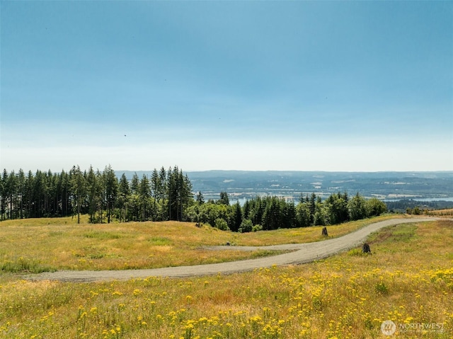 149 Resort Ln, Kalama, WA 98625 - photo 14