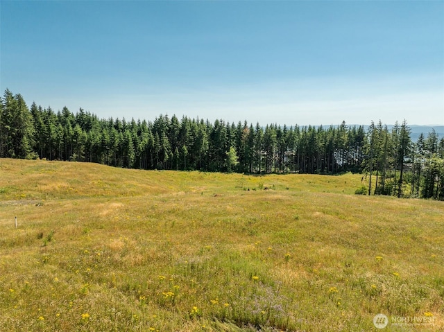 149 Resort Ln, Kalama, WA 98625 - photo 15
