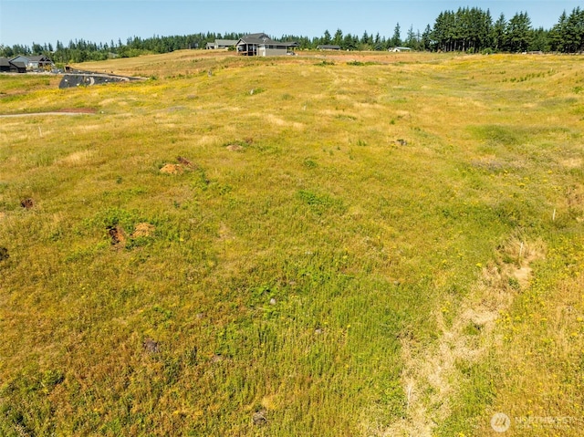 149 Resort Ln, Kalama, WA 98625 - photo 17