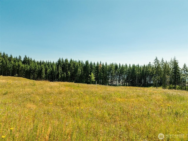 149 Resort Ln, Kalama, WA 98625 - photo 18