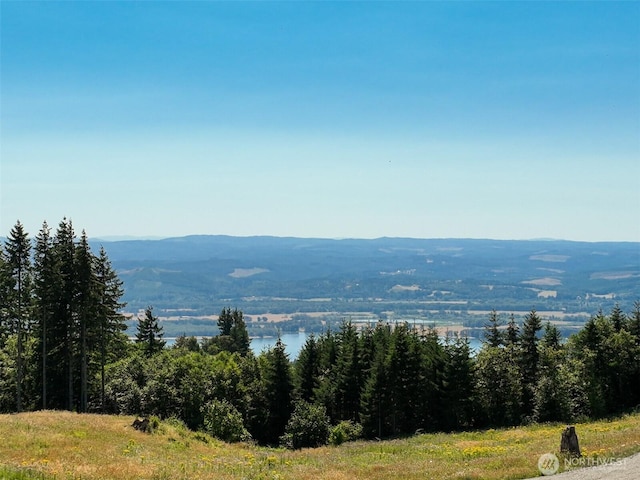 149 Resort Ln, Kalama, WA 98625 - photo 20