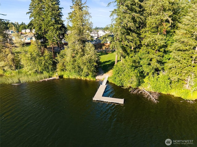 7819 19th Ln SE, Lacey, WA 98503 - photo 34