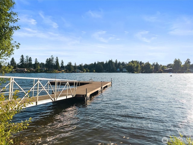 7819 19th Ln SE, Lacey, WA 98503 - photo 35