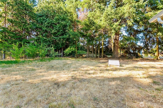 1314 W Yelm Ave, Yelm, WA 98597 - photo 36