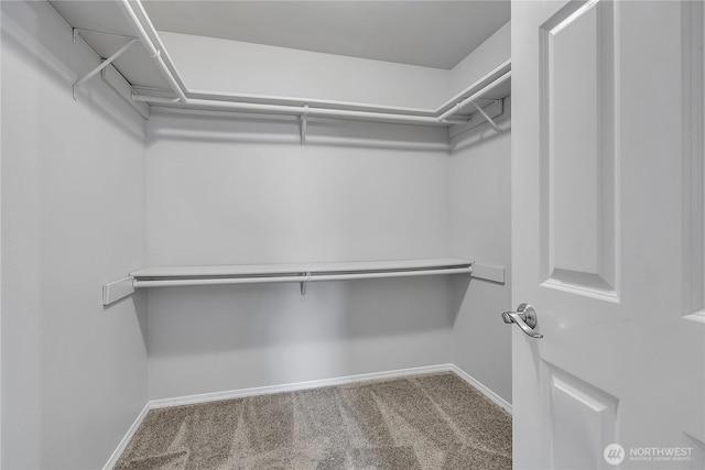 18619 16th Avenue Ct E, Spanaway, WA 98387 - walk in closet with carpet