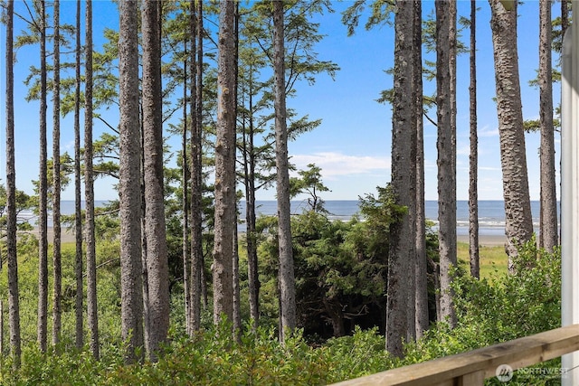46 Seaside Ln, Pacific Beach, WA 98571 - water view