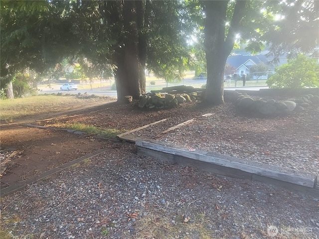 35806 1st Ave S, Federal Way, WA 98003 - view of yard