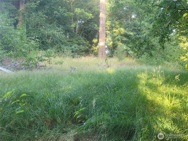 35806 1st Ave S, Federal Way, WA 98003 - view of wooded area
