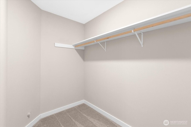 250 W Wynwood Dr, Shelton, WA 98584 - walk in closet with carpet floors