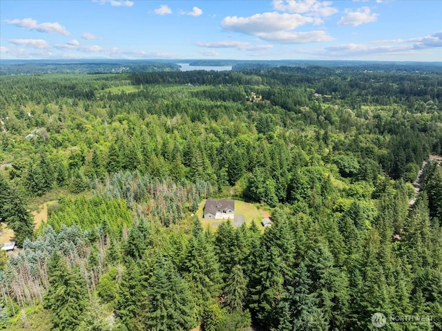 250 W Wynwood Dr, Shelton, WA 98584 - aerial view of a forest