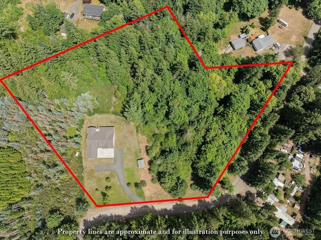 250 W Wynwood Dr, Shelton, WA 98584 - aerial view of property's location featuring property parcel outlined