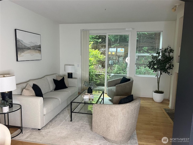 21507 42nd Ave S Unit P3, Seatac, WA 98198 - living area featuring light wood finished floors and healthy amount of natural light