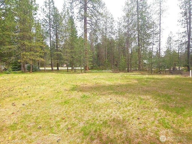 183 E Trappers Loop, Chewelah, WA 99109 - photo 1
