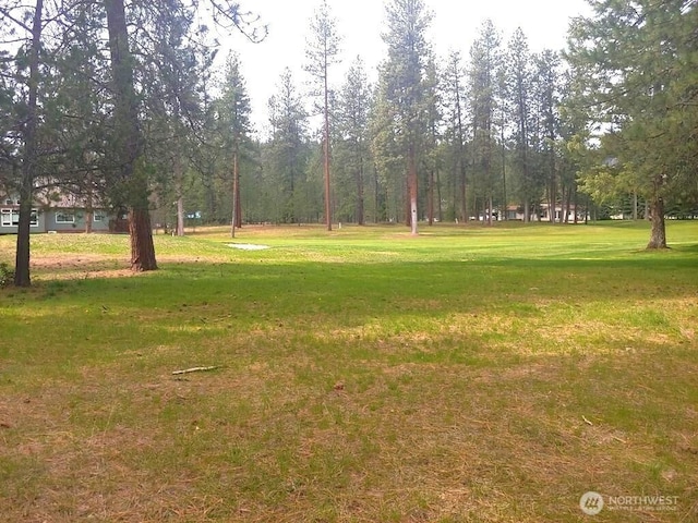 183 E Trappers Loop, Chewelah, WA 99109 - photo 2