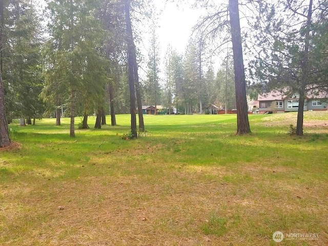 183 E Trappers Loop, Chewelah, WA 99109 - photo 3