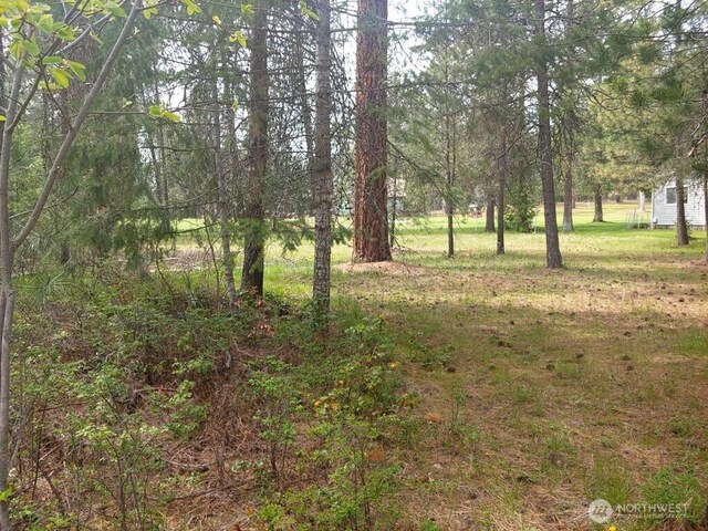 183 E Trappers Loop, Chewelah, WA 99109 - photo 4