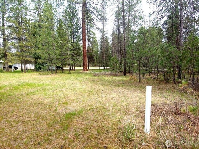 183 E Trappers Loop, Chewelah, WA 99109 - photo 5