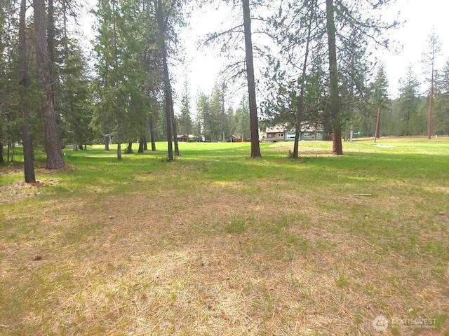 183 E Trappers Loop, Chewelah, WA 99109 - photo 6