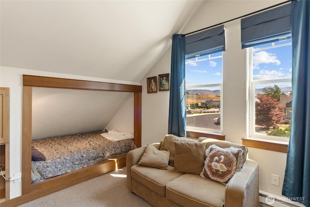 19 Cobb Ct, Malaga, WA 98828 - photo 37