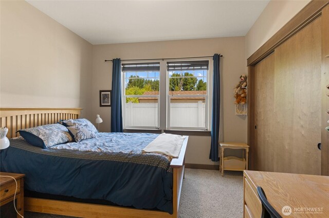 19 Cobb Ct, Malaga, WA 98828 - photo 29
