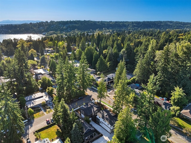10511 NE 112th St, Kirkland, WA 98033 - aerial overview of property's location featuring a forest