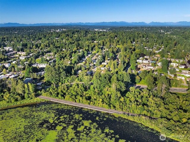 10511 NE 112th St, Kirkland, WA 98033 - aerial view of property's location featuring a forest and mountains