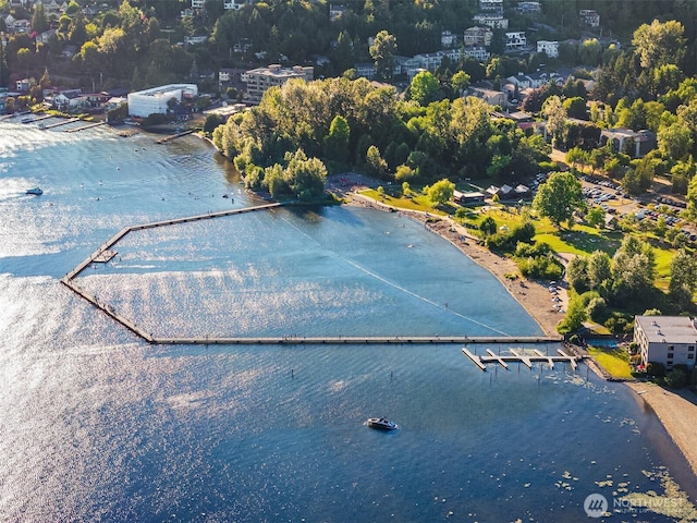 10511 NE 112th St, Kirkland, WA 98033 - aerial view of a large body of water