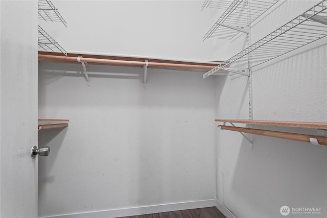 261 E Emerald Lake Dr W, Grapeview, WA 98546 - spacious closet with wood finished floors