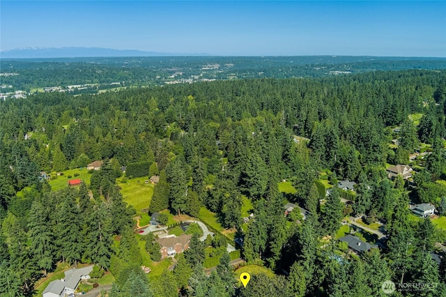 15618 163rd Ave NE, Woodinville, WA 98072 - photo 36