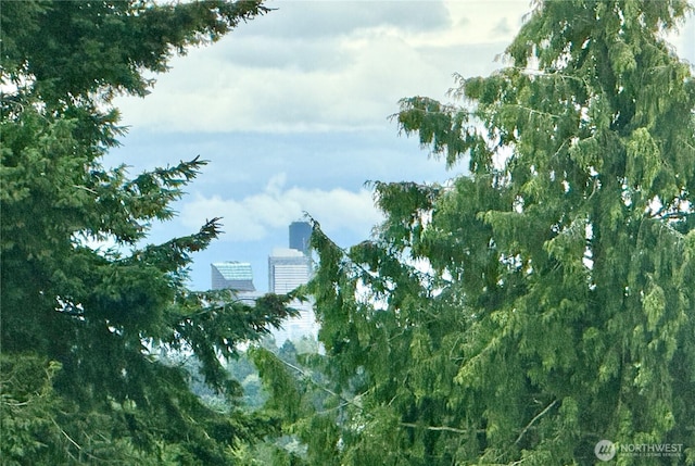 411 N 90th St Unit 406, Seattle, WA 98103 - view of local wilderness