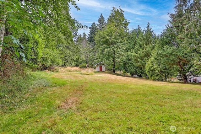 793 E Stadium Beach Rd W, Grapeview, WA 98546 - view of grassy yard with a shed and a wooded view